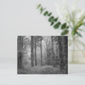 De fairies van de Bossen van Werndee No1 Briefkaart (Staand voorkant)