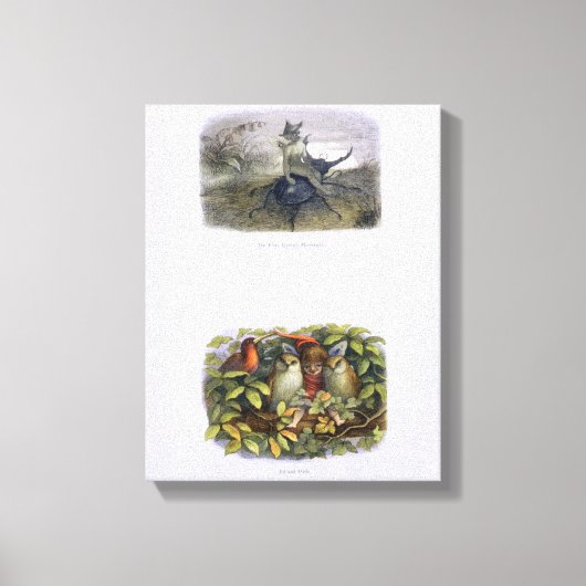 De Fairy Queen's Messenger, Elf en Owls, is ziek Canvas Afdruk (Voorkant)