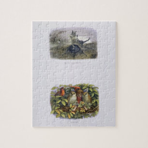 De Fairy Queen's Messenger, Elf en Owls, is ziek Legpuzzel