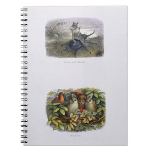 De Fairy Queen's Messenger, Elf en Owls, is ziek Notitieboek