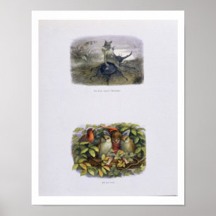 De Fairy Queen's Messenger, Elf en Owls, is ziek Poster