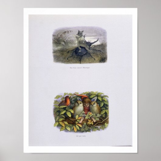 De Fairy Queen's Messenger, Elf en Owls, is ziek Poster (Voorkant)