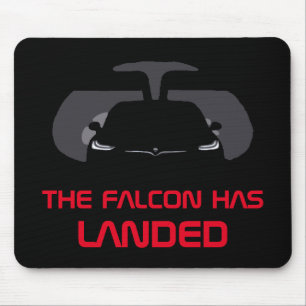 DE FALCON IS AANGEVOERD MUISMAT