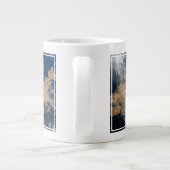 De Falklandeilanden (Islas Malvinas). Grote Koffiekop (Achterkant)