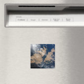 De Falklandeilanden (Islas Malvinas). Magneet (Insitu (Vaatwasser))