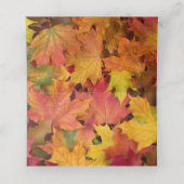 De fall verlaat Autumn de Kleuren personaliseren d Plaatskaartje (Binnenkant ongevouwen)