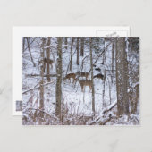De familie Deer in sneeuw Briefkaart (Voorkant / Achterkant)