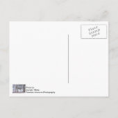 De familie Deer in sneeuw Briefkaart (Achterkant)