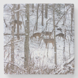 De familie Deer in sneeuw Stenen Onderzetter