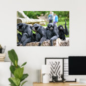 De familie Siamang Gibbon ontspanning in de wilde  Poster (Thuiskantoor)