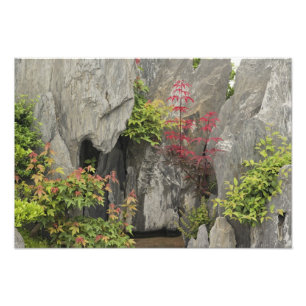 De familie tuin van Bao, Huangshan, China. Foto Afdruk