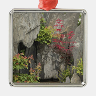 De familie tuin van Bao, Huangshan, China. Metalen Ornament
