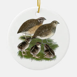 De Familie van de Kwartels van Coturnix Keramisch Ornament
