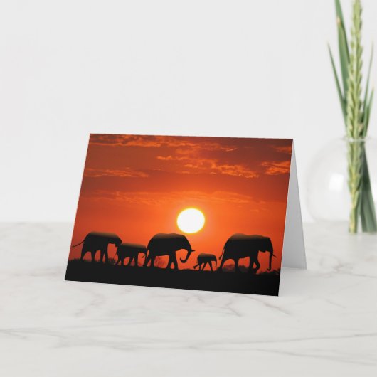 De familie van de olifant kaart (Voorkant)