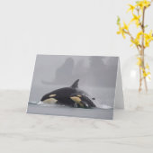 De Familie van de orka Kaart (Gele Bloem)