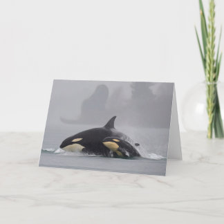 De Familie van de orka Kaart