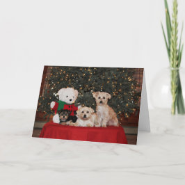 De Familie van het puppy Feestdagen Kaart