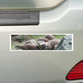De familie van otters bumpersticker (Op auto)