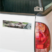 De familie van otters bumpersticker (Op Truck)