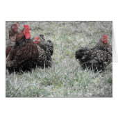 De Fancy familie (Voorkant Horizontaal)