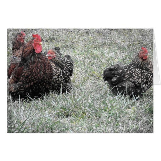 De Fancy familie (Voorkant Horizontaal)