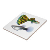 De Fancy Fantail Guppies Tile Tegeltje (Zijkant)
