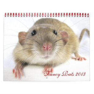 De fancy Kalender van Ratten 2013