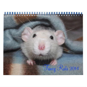 De fancy Kalender van Ratten 2014