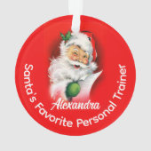 De favoriete aangepaste gepersonaliseerde carrière ornament (achterkant)