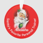 De favoriete aangepaste gepersonaliseerde carrière ornament (voorkant)