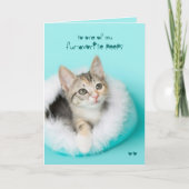 De favoriete Kaart van Pasen van het Katje van (Voorkant)