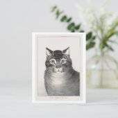 De Favoriete Kat (1838–48) Lithografie Briefkaart (Staand voorkant)