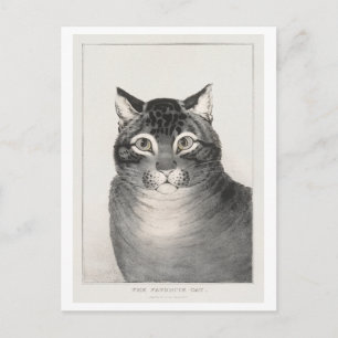 De Favoriete Kat (1838–48) Lithografie Briefkaart