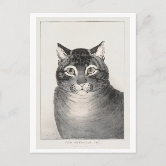 De Favoriete Kat (1838–48) Lithografie Briefkaart (Voorkant)