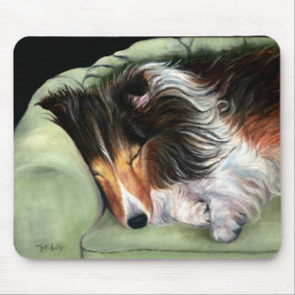 De favoriete voorzitter muismat