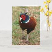 De Fazant Notecard 2 van Ringneck Kaart (Gele Bloem)