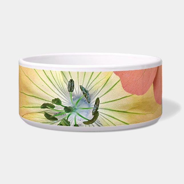 De fee komt binnenkort uit 1 voerbakje (Voorkant)