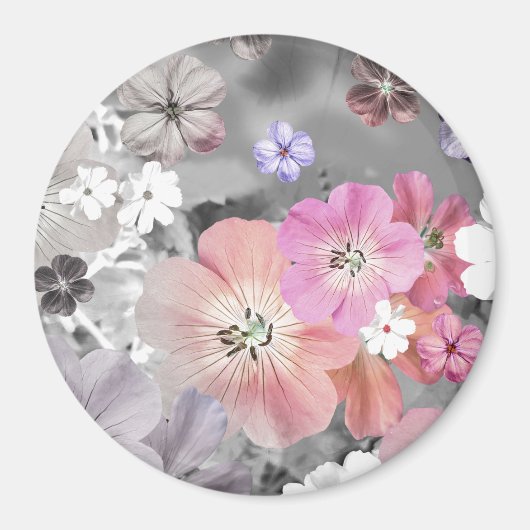 De fee komt binnenkort uit 2 magneet (Voorkant)