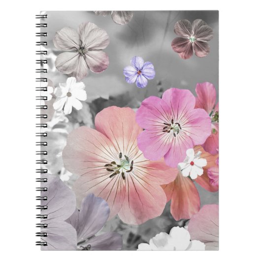 De fee komt binnenkort uit 2 notitieboek (Voorkant)