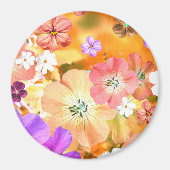 De fee komt binnenkort uit 3 magneet (Voorkant)