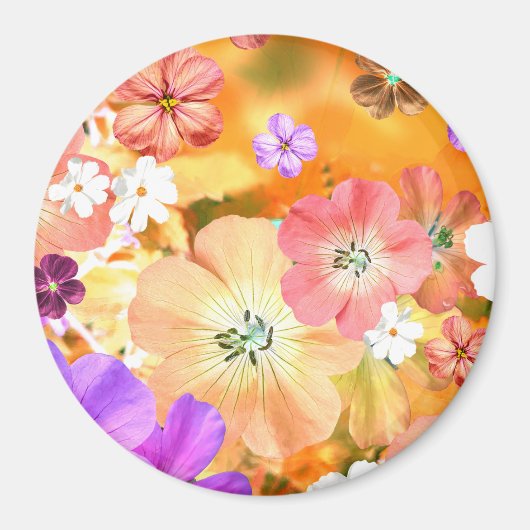 De fee komt binnenkort uit 3 magneet (Voorkant)