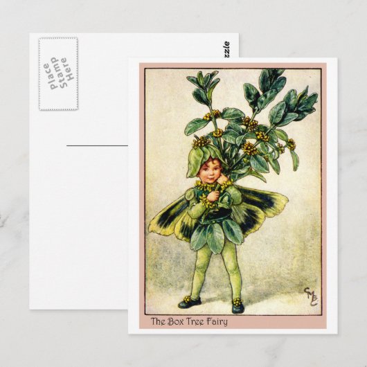 De Fee van de Boom van de doos Briefkaart (Voorkant / Achterkant)
