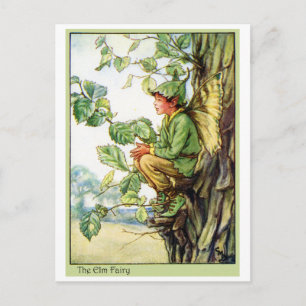 De Fee van de Boom van de iep Briefkaart
