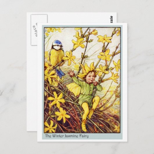 De Fee van de Jasmijn van de winter Briefkaart (Voorkant / Achterkant)
