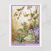 De Fee van de Rekening van ooievaars Briefkaart (Voorkant)