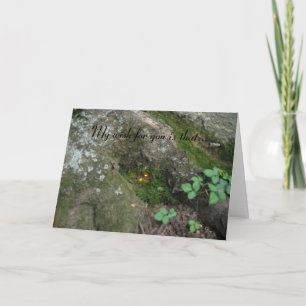 "De fee was thuis" Kaart