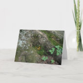 "De fee was thuis" Kaart (Voorkant)