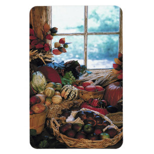 De feesten - magneet