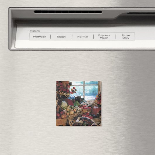 De feesten - magneet (Insitu (Vaatwasser))