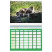 De Feral LiFe Fotokatten 2025 Kalender (Mar 2027)